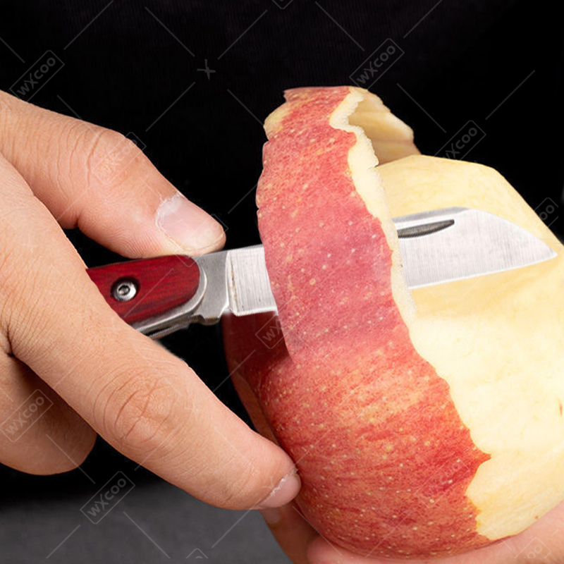 Stainless Steel Pocket Knife R - Kitchen Gadgets That Make Life Easier 评论和价格